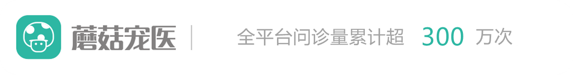 蘑菇宠医